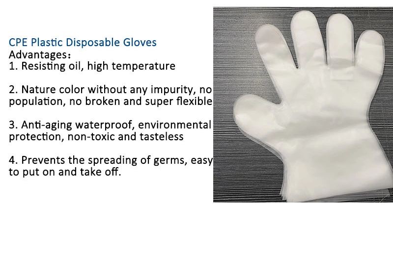 Food Grade High Quality Disposable CPE Gloves