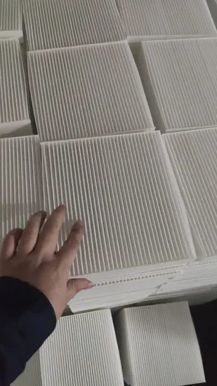 Qlent 제조업체 자동차 부품 활성탄 Filte 2048300518 에어 캐빈 필터